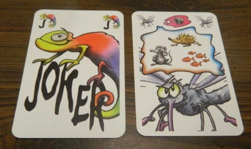 Special Cards in Frank's Zoo