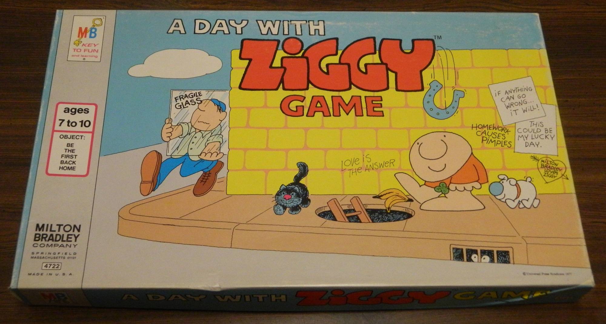 Box for A Day with Ziggy Game
