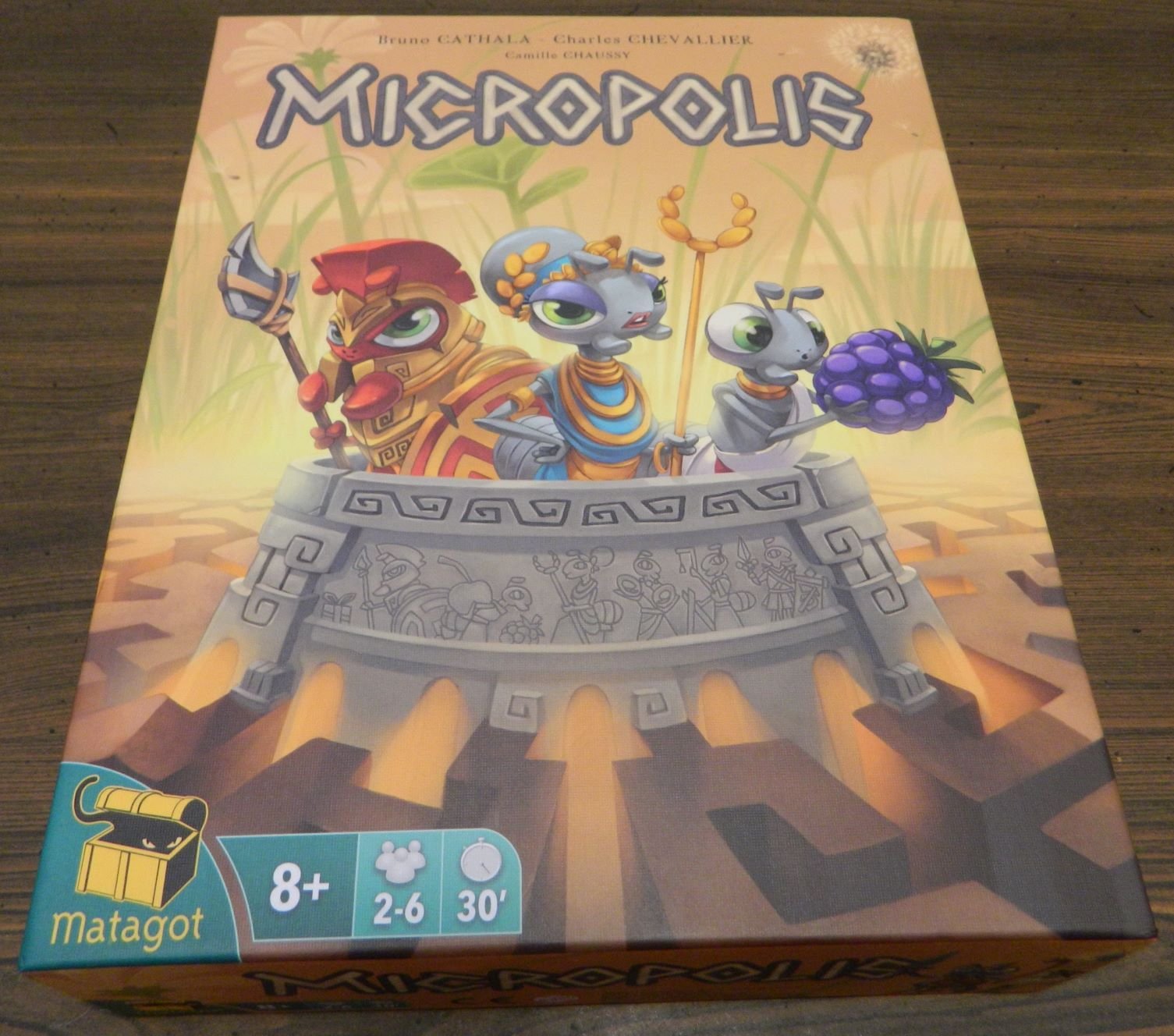Box for Micropolis