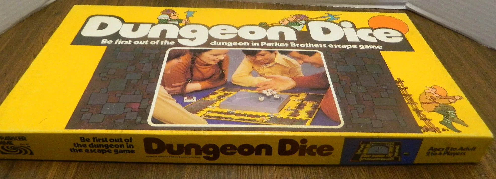 Dungeon Dice Box