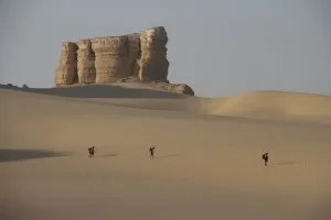 Desert Runners Crossing the Desert