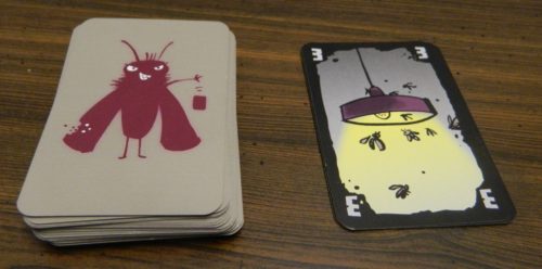 Playing A Card in Cheating Moth