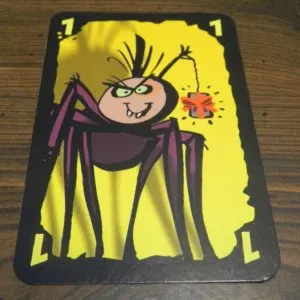 Spider Card in Cheating Moth
