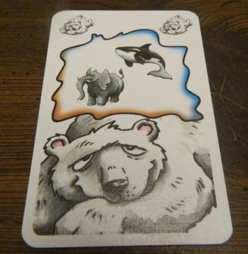 Frank's Zoo Card