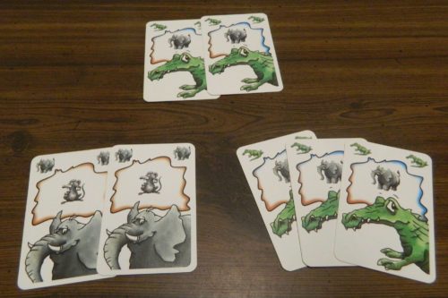 Playing Cards in Frank's Zoo