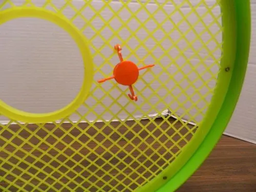 Attached to Net in Don't Bug Me