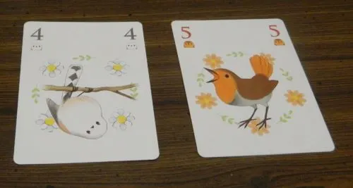 Playing A Card in Songbirds