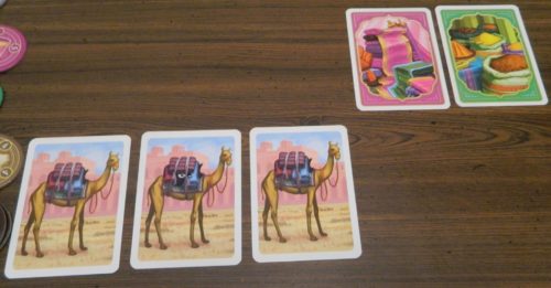 Take Camel Cards in Jaipur