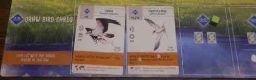 Draw Bird Cards in Wingspan