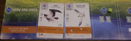 Draw Bird Cards in Wingspan