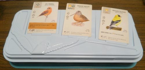 Face Up Bird Cards in Wingspan
