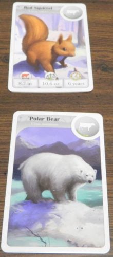 Contemplate Second Card in Cardline Animals