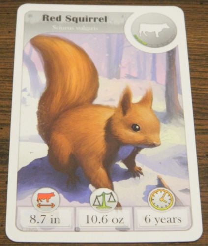 First Card in Cardline Animals