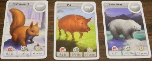 Play Third Card in Cardline Animals
