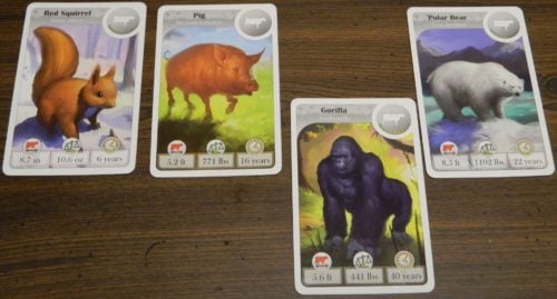 Wrong Place in Cardline Animals