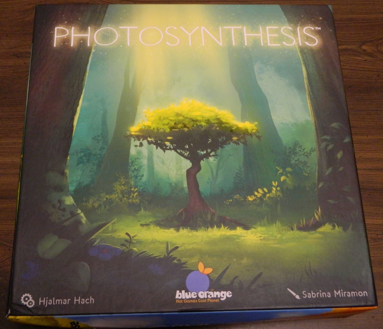 Photosynthesis Board Game Review and Rules