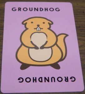 Groundhog Card in Taco Cat Goat Cheese Pizza