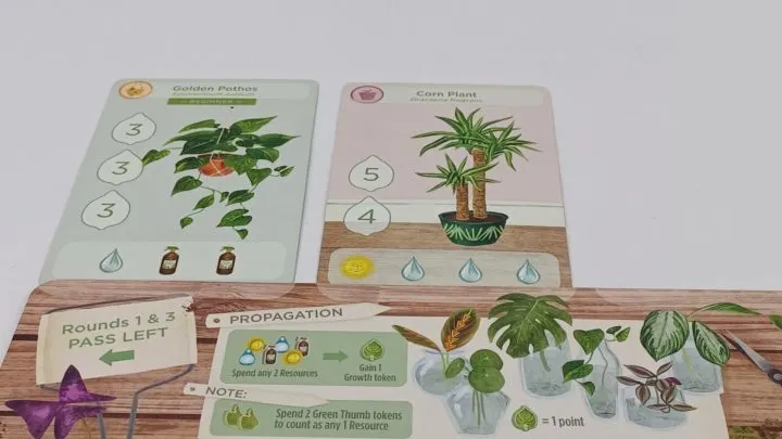 Acquire Plant Card in Planted