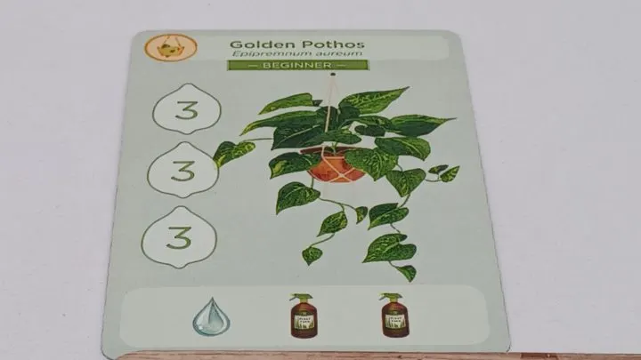 Plant Card in Planted