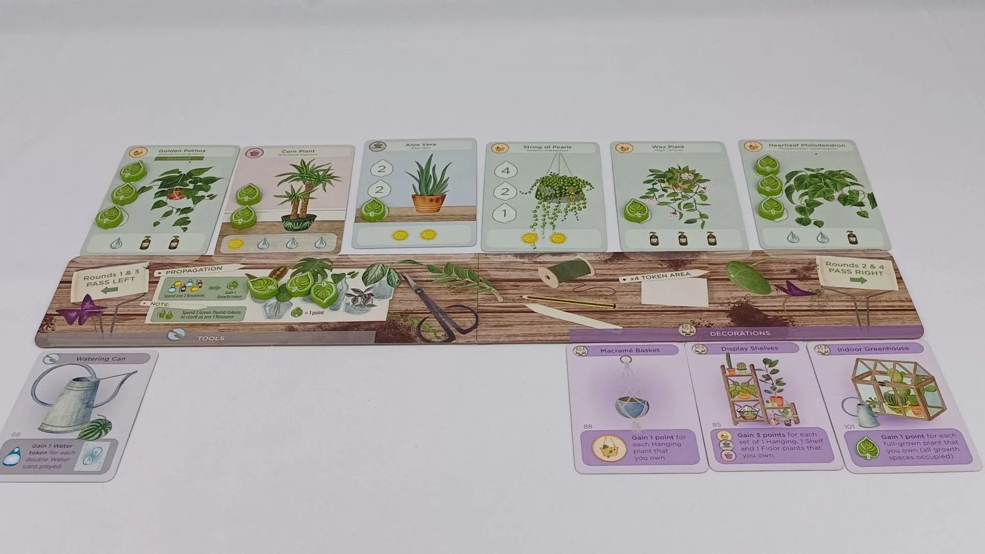 Scoring Decoration Cards in Planted