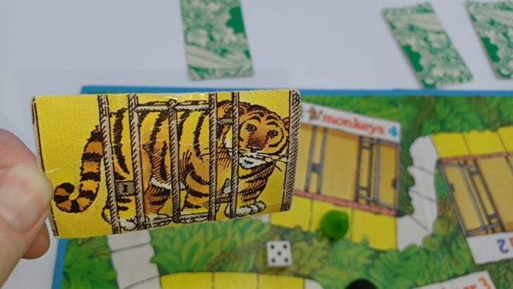 The green player rolled a five and landed on a yellow space, allowing them to select a card around the board. They selected the tiger card but were on the monkeys cage spot so no match was made.
