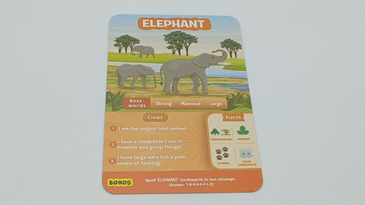 Elephant card from Guess in 10: Animal Planet