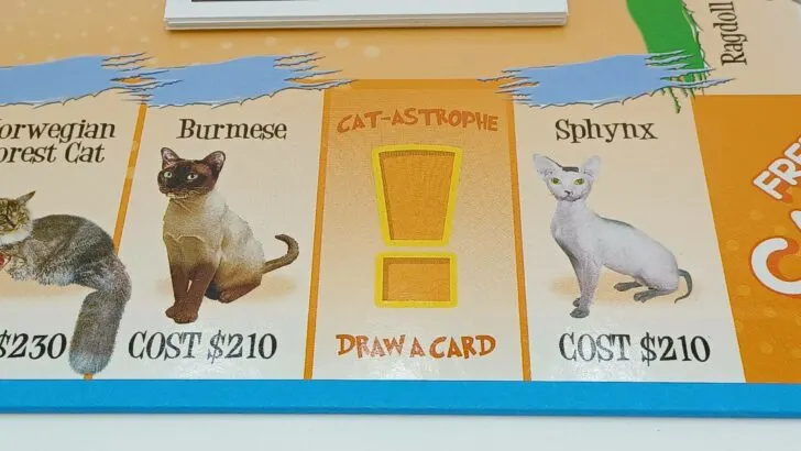 Catastrophe Space in Cat-Opoly