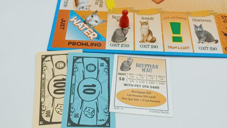 Purchasing a property in Cat-Opoly