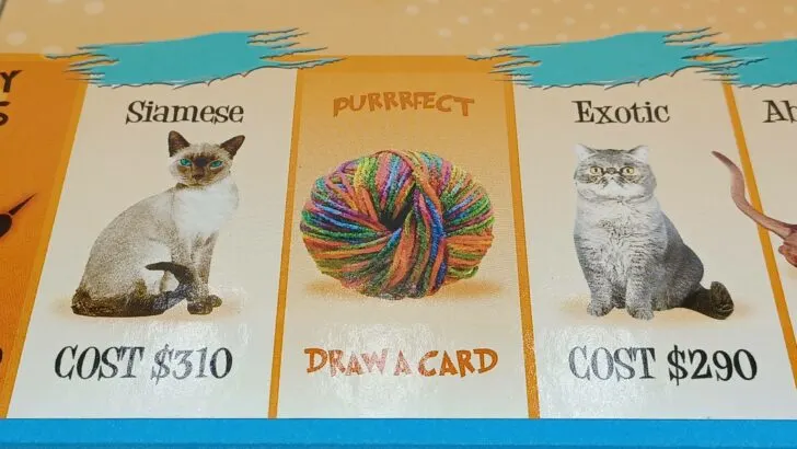 Purrrfect space in Cat-Opoly
